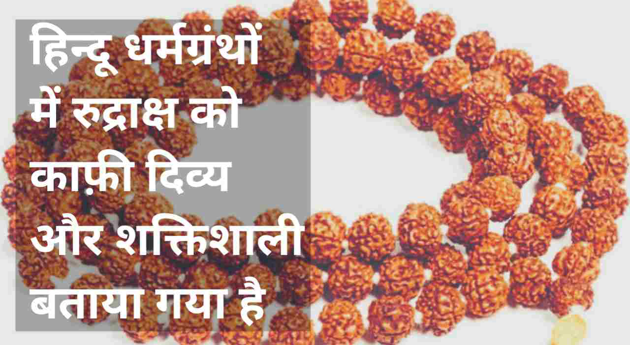 Rudraksha Benefits : साइंस ने भी माना, रुद्राक्ष मास्तिष्क के लिए बहुत फायदेमंद