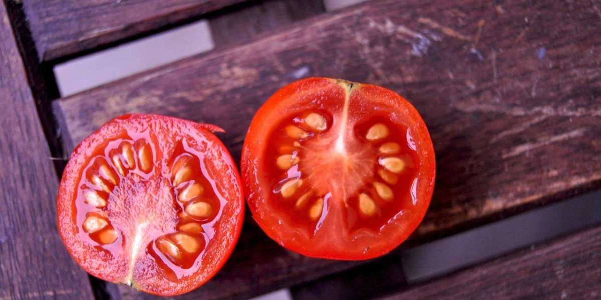 Tomato Seeds Market 2022 Analysis by Assessment, Industry, Trends and Forecast 2028