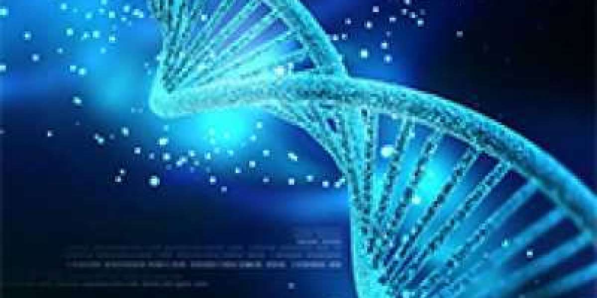 Precision Medicine Market Size, Share, Impressive Industry Growth, Analysis Report 2026