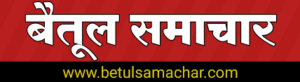 मारुति सुजुकी की नई ऑल्टो इलेक्ट्रिक कार मचाएगी धूम, जानिए इसकी कीमत