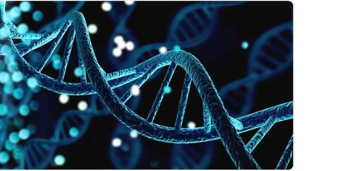 DNA Methylation Market Supply Chain Analysis, Growth Opportunities, Top Companies, and Business Development Report by 20