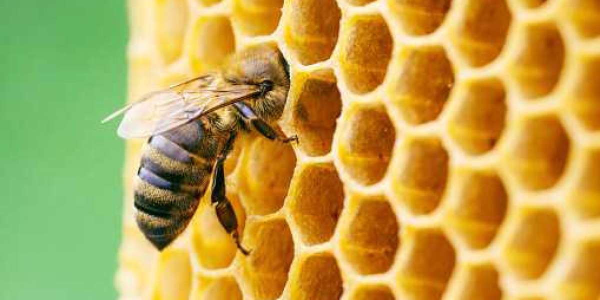 Propolis Market and Product Scope, Manufacturers Analysis