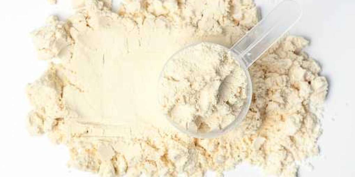 Whey Market Manufacturers Report and Analytical Insights