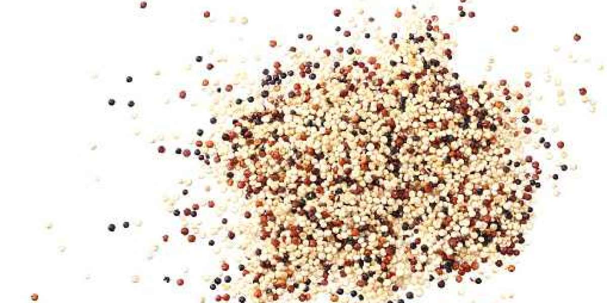 Quinoa Seeds Market Trends, Revenue, SWOT, PEST Analysis, Growth Factors Forecast year 2030