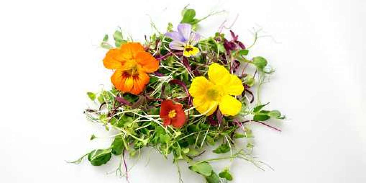 Edible Flowers Market Forecast with Investment, Driven, Gross Margin, Regional Demand