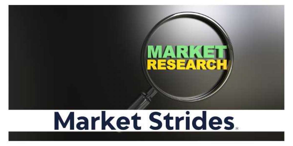 Digital Accessibility Tools Market Size, Trends, Comprehensive Analysis, 2022-2030