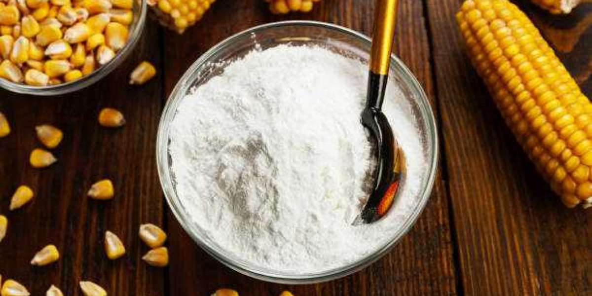 Corn starch Market Size, Opportunities, Key Growth Factors, Revenue Analysis, For 2030