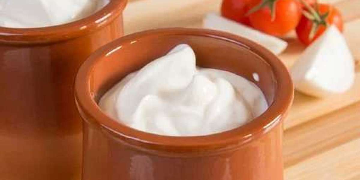 Sour Cream Market Insights, Global Analysis & Opportunities by 2030