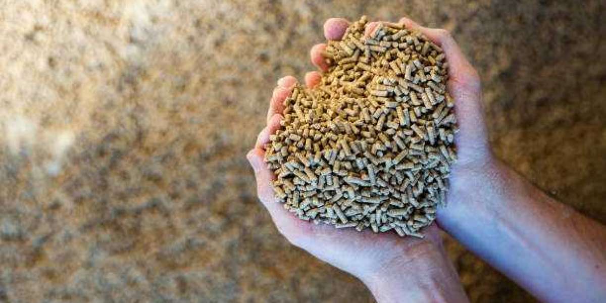 Organic Feed Market Trend, Forecast, Drivers, Restraints, Company Profiles and Key Players Analysis by 2027