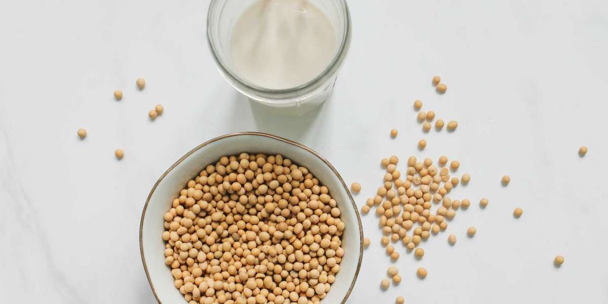 Soy Milk Market Outlook, Revenue, Trends, Growth Factors, Region and Country Analysis & Forecast To 2030