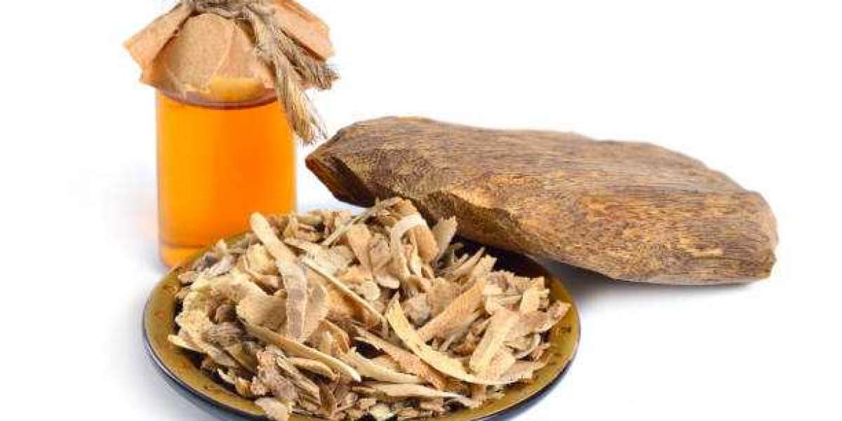 Key Agarwood Essential Oil Market Players, Insights: Top Vendors, Outlook, Drivers & Forecast To 2030