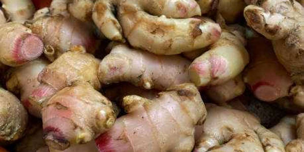 Global Ginger Extract-Market Size, Revenue, Trends, Competitive Landscape Study & Analysis, Forecast To 2030