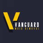 Vanguard Mold Removal