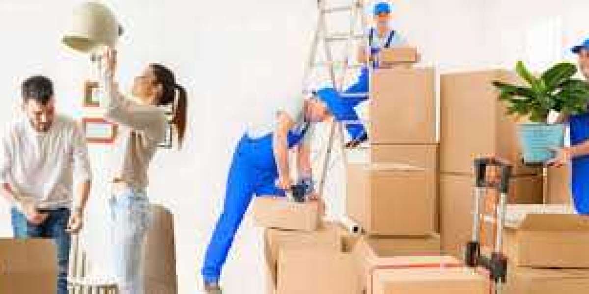 Maruti relocation Packers and Movers Launches a New Website to Offer Comprehensive Relocation Services