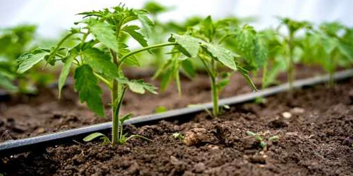 Drip Irrigation Market by Top Competitor, Regional Shares, and Forecast 2030