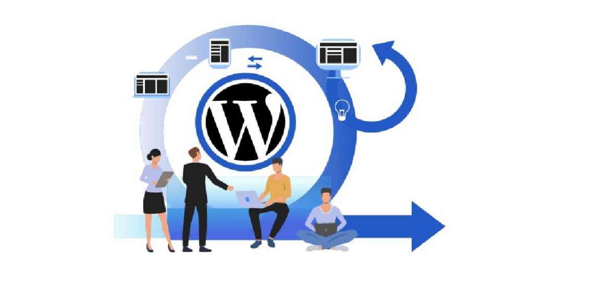 W3era Web Technology: 5 Reasons Why Expert WordPress Development Services Are Essential