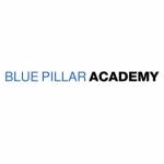Bluepillar Academy Profile Picture