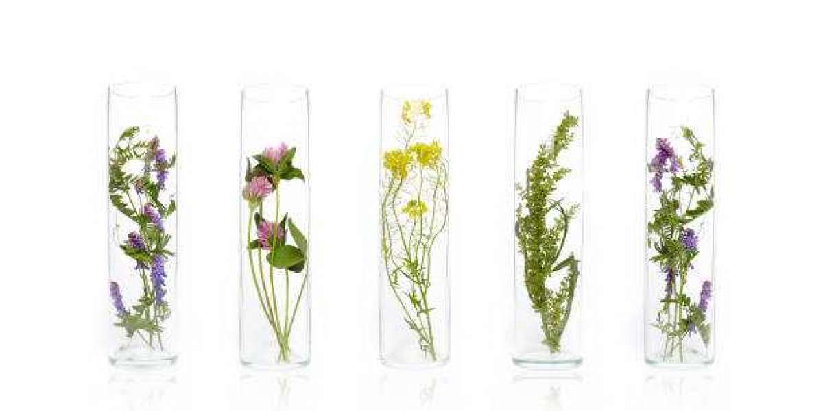 Natural fragrances size, Growth Opportunities And Forecast To 2030