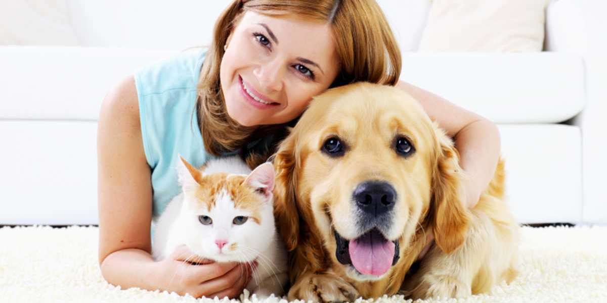 Pet Services in Dubai: Finding Reliable Dog Boarding, Mobile Pet Grooming, and Vets Near You