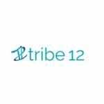 Tribe12 Org