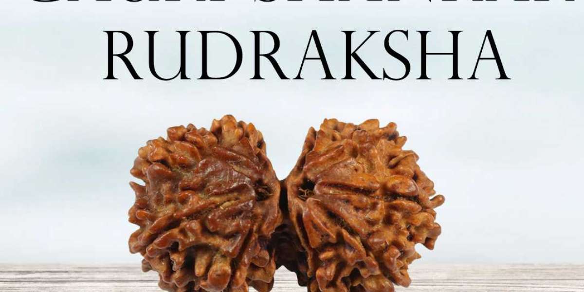 Buy Natural Gauri Shankar Rudraksha At Genuine Price