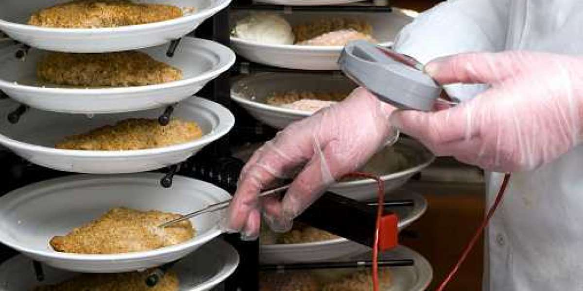 Key Food Safety Testing Market Players, Analysis, Historic Data and Forecast year 2030