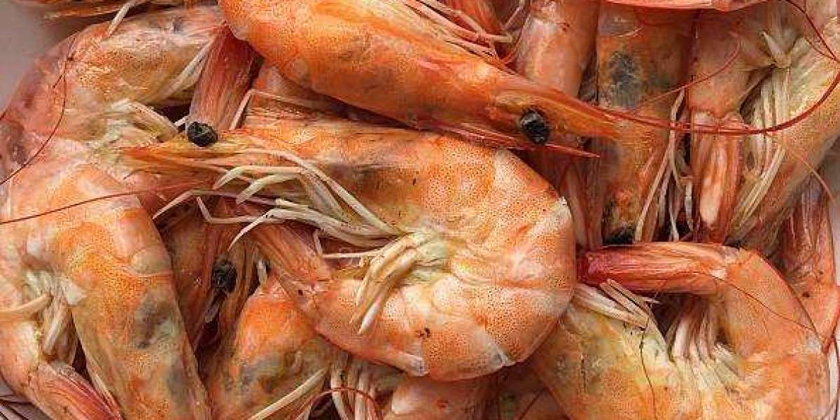 Chitin, Chitosan, and Derivatives Market Trends Opportunities, Growth Potential, Demand, Future Estimations and Statisti