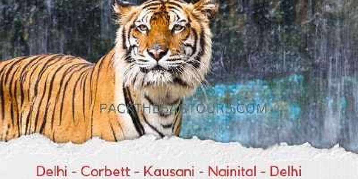 Explore the Beauty of Uttarakhand with Corbett, Kausani, and Nainital Tour Packages