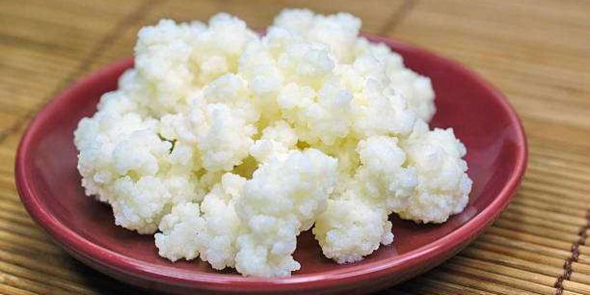 kefir Market Overview, Size, Share, Trends, Growth, Analysis, Outlook, Report, Forecast 2027