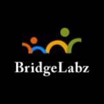 Bridge Bridgelabz