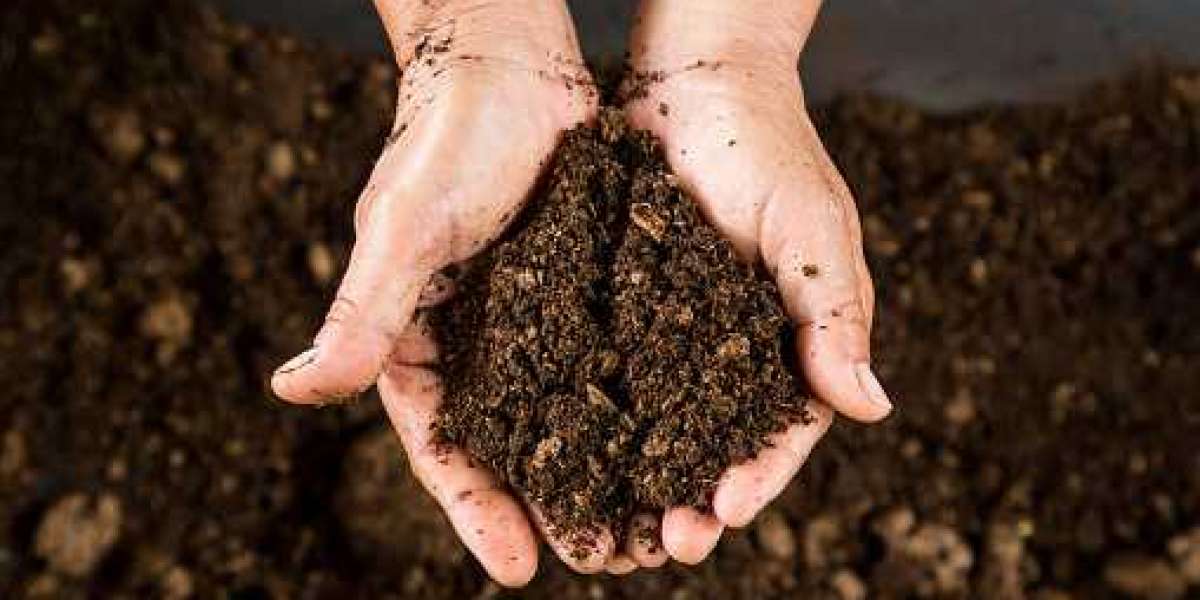 Peat Market Overview, Analysis by Component, By Deployment, By End-user & Forecast 2030