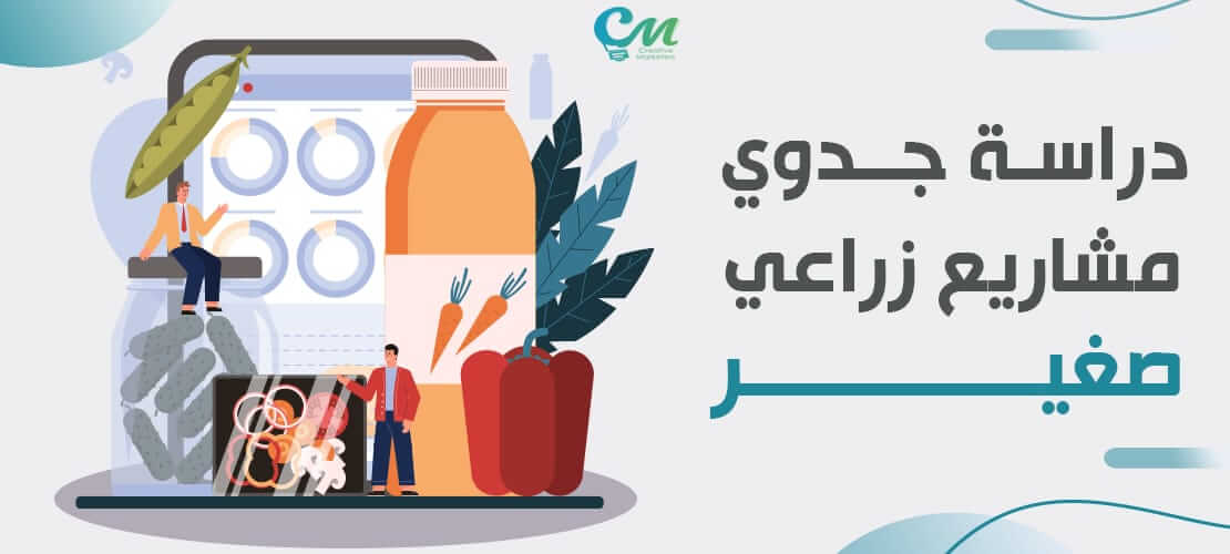 دراسة جدوى مشروع زراعي صغير من خلال 4 عناصر 