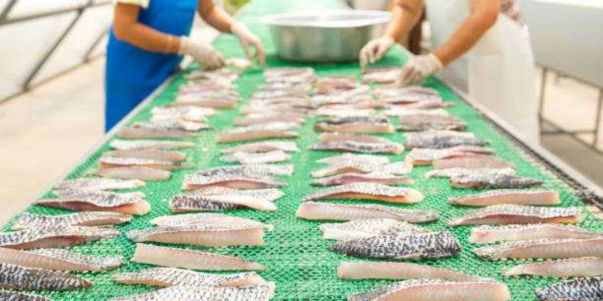 Seafood Processing Market Size, Growth, Demands, Revenue, Top Leaders and Growth Rate