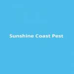 Sunshine Coast Pest