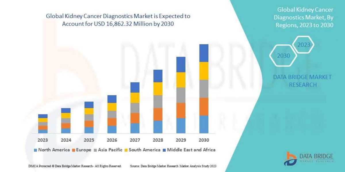 Kidney Cancer Diagnostics Market Value to Cross USD 16,862.32 Million by 2030