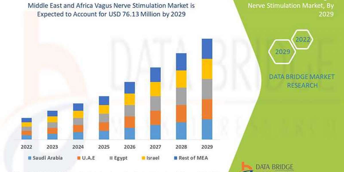 Middle East and Africa Vagus Nerve Stimulation Market Expected to Witness a Sustainable Growth Over 2029