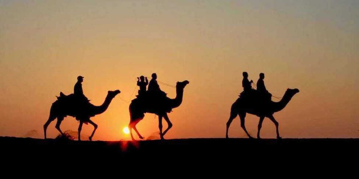 Luxury Desert Camping in Jaisalmer: Everything to Know