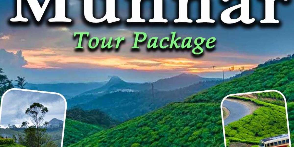 Munnar Tour Packages: Unwind in the Serene Beauty of the Western Ghats