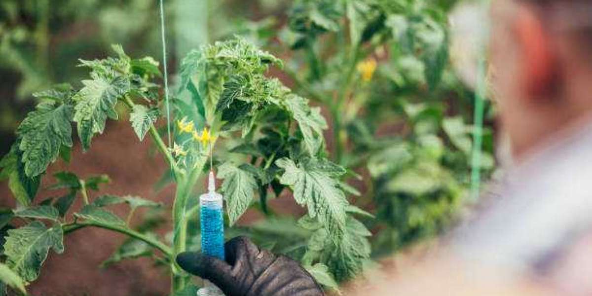 Biorational Pesticides Market Insights, Key Segments, Growth Status and Forecast 20228
