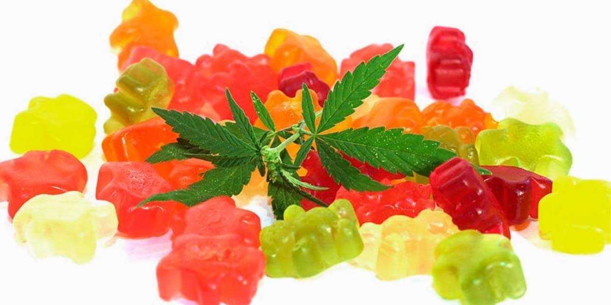 CBD Gummies for Digestion: How They Can Help with Gut Health