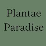 Plantae Paradise