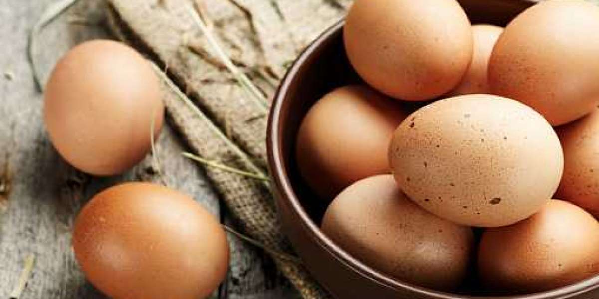 Egg Products Market Research: Regional Demand, Top Competitors, and Forecast 2030