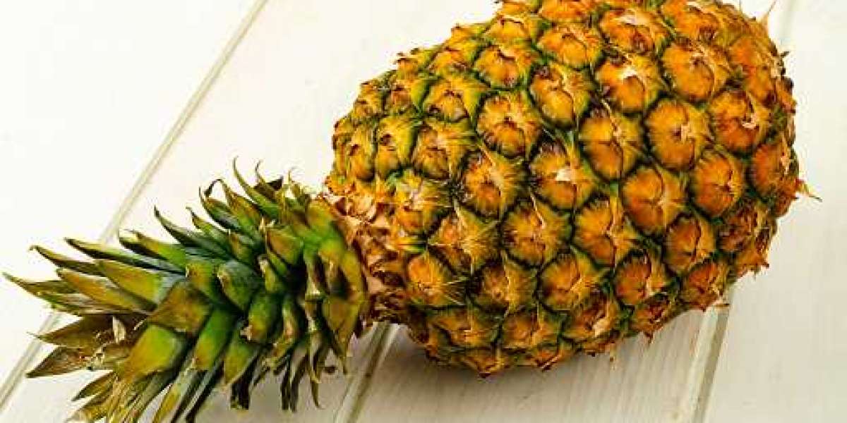 Bromelain Market Insights: Growth, Key Players, Demand, and Forecast 2030