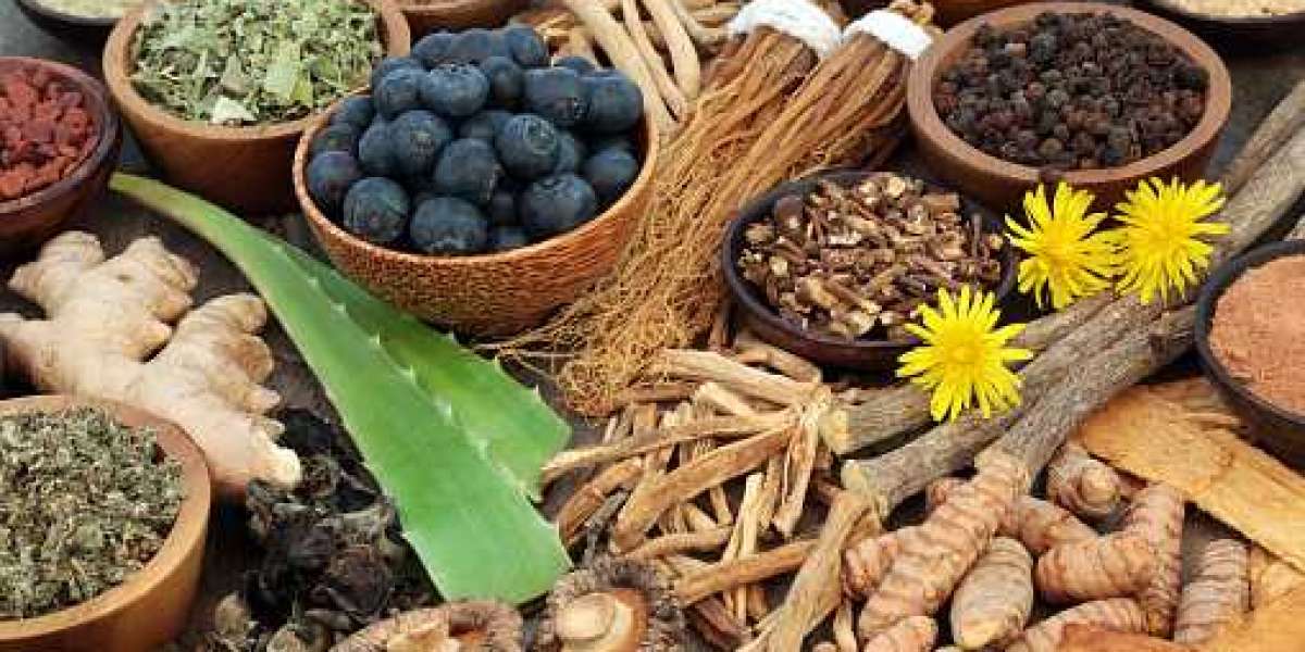 Medicinal Plant Extracts Market Outlook, Size, Segmentation, Share and Forecast 2030
