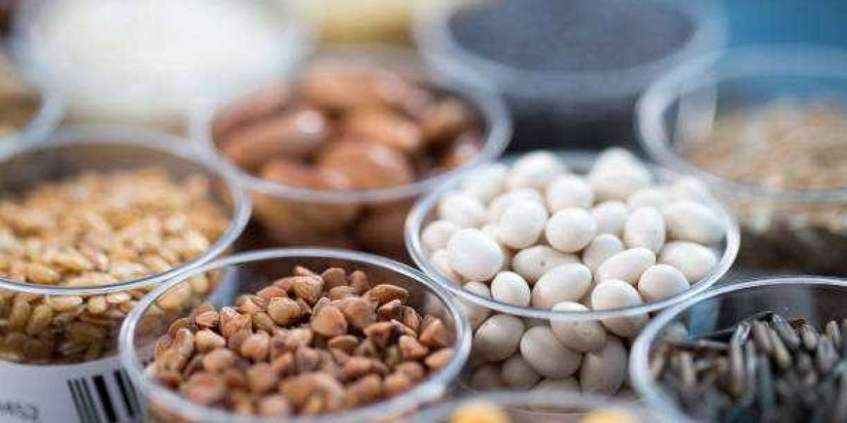 Hybrid Seeds Market Size, Business Growth, Demand, and Forecast to 2030
