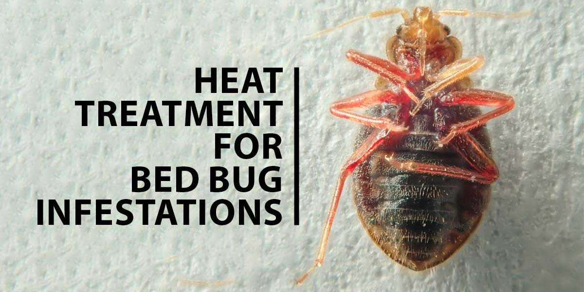Heat Treatment for Bed Bug Infestations