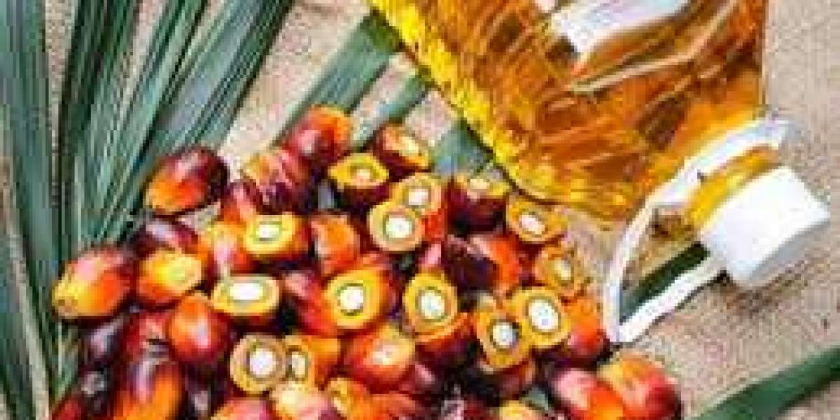 Key Palm Oil Market Players: Challenges, Drivers, Analysis, Industry Share and Forecast 2030