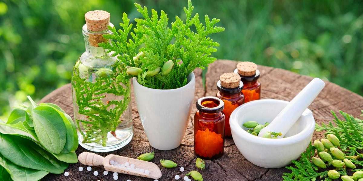 Homeopathic Medicine Market Players: Detailed Analysis of Qualitative as Well as Quantitative Aspects