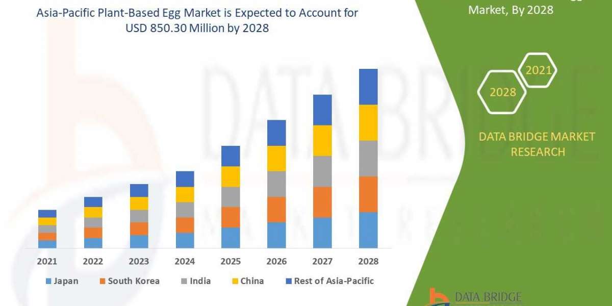Asia-Pacific Plant-Based Egg Market  : Industry Analysis, Size, Share, Growth, Trends and Forecast By 2028