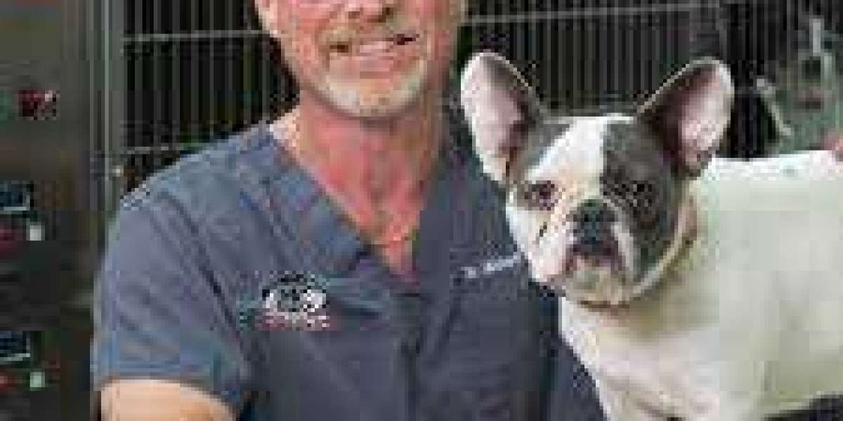 The Best Poway Vet: Your Trusted Companion's Health is Our Top Priority"